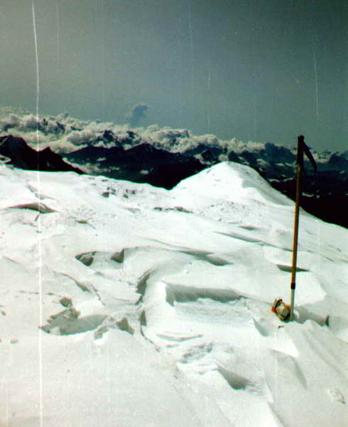 Jordanka Dimitrova archive