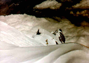 View from the top of Dhaulagiri