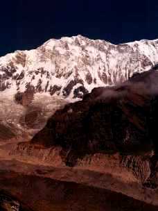 AmaD019.jpg (9026 bytes)