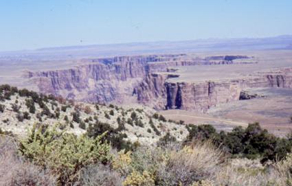 The Canyon