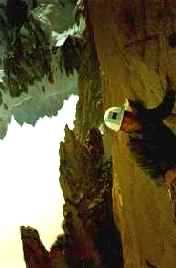 Climbing on Grand Capucin