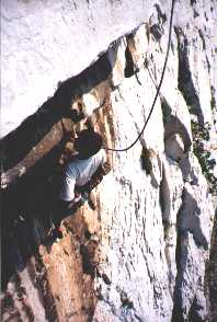 s. Foteva Seconding "Tarzan"