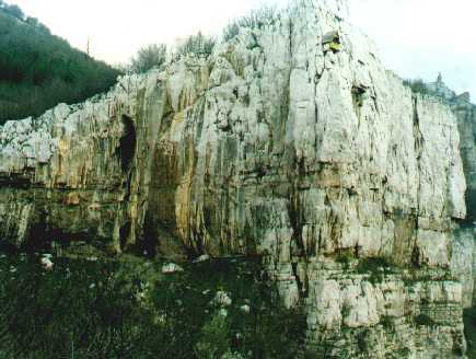 Alpiiska Poliana - General View