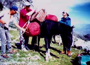 One Of The "Porters"