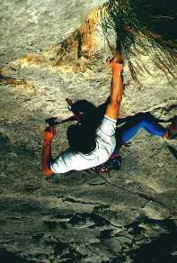 Nikolay Climbs a Sport Rute
